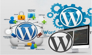 Mã nguồn WordPress