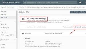 Sử dụng công cụ Google Search Console để Submit bài viết