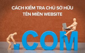 kiểm tra chủ sở hữu tên miền