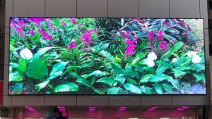 màn hình led phòng họp chất lượng