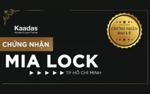 Mia Lock Việt Nam