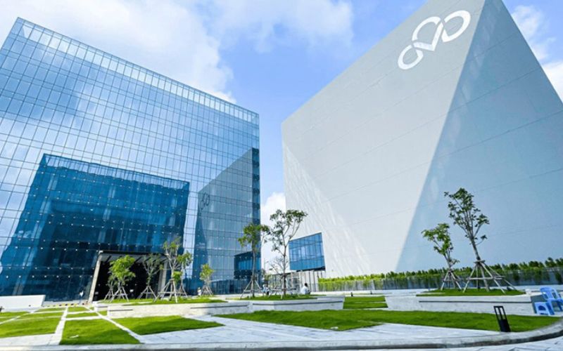 cmc global
