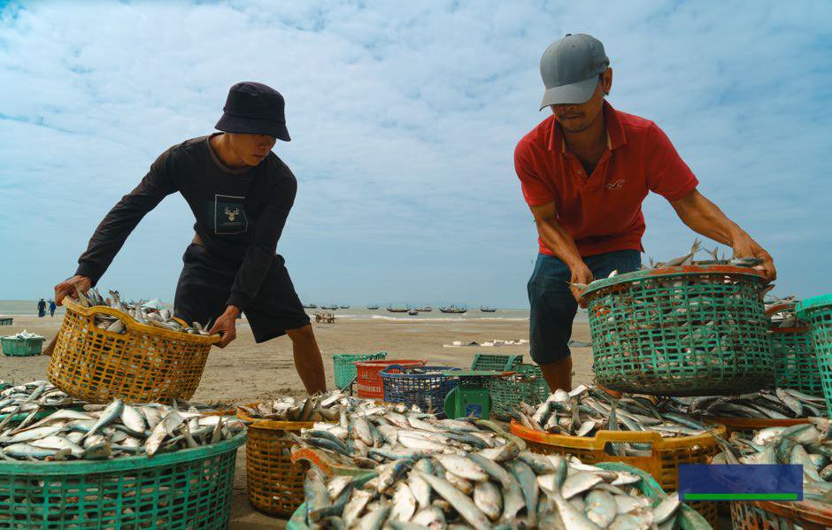 Lộ trình kỹ thuật để tự động hoá bền vững Lộ trình kỹ thuật để tự động hoá bền vững
